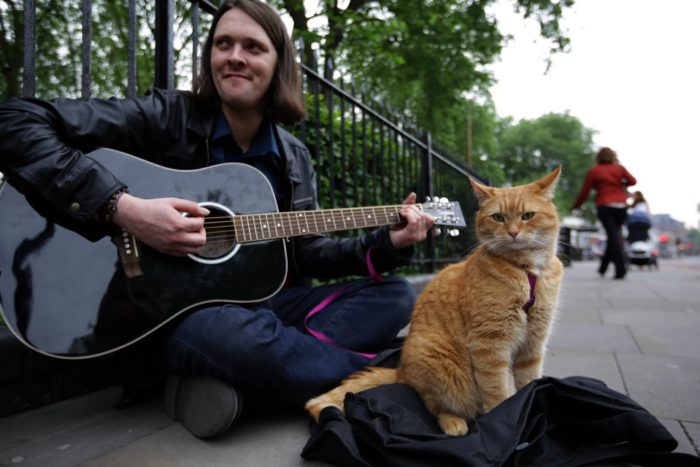 A Street Cat Named Bob