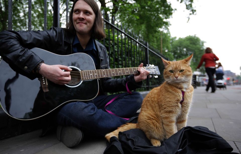 A Street Cat Named Bob