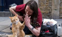A Street Cat Named Bob